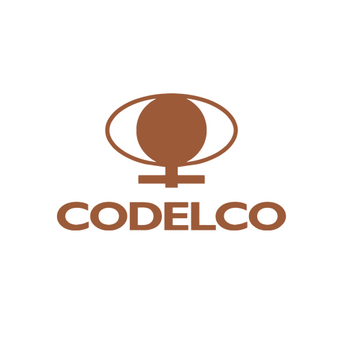 Paul Crorkan / Director de Proyectos / Codelco