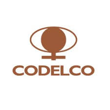 German Puga / Project Engineer / Codelco